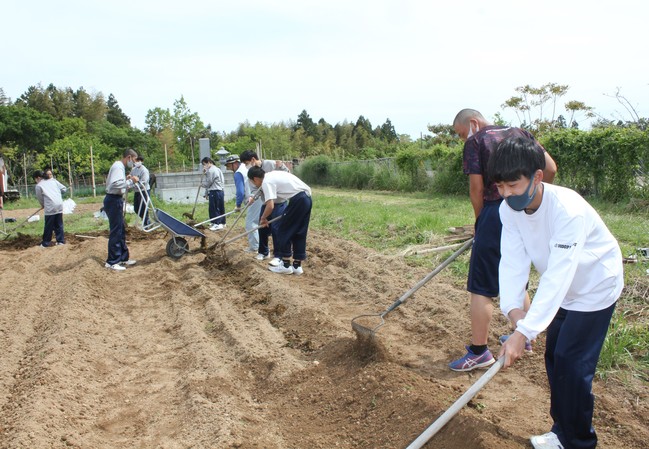 畝づくり